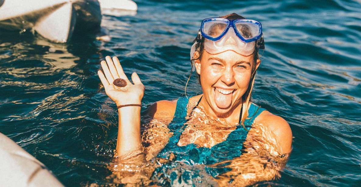 La Jolla Underwater Park: Kayak and Snorkel Tour - Wildlife Spotting Opportunities