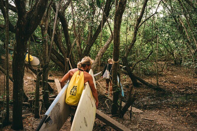 La Lancha Surfing Adventure Lesson & Transport from Sayulita - Your Surfing Options: Finding the Right Fit