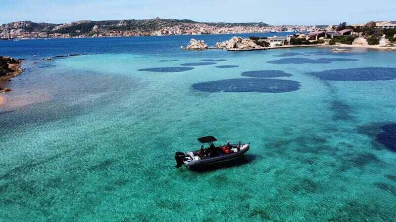 La Maddalena Archipelago: Private Trip by Zodiac (RIB) - Price and Value