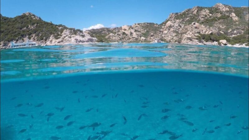 La Maddalena Arcipelago: sailing tour among the Islands - Who Should Consider This Tour
