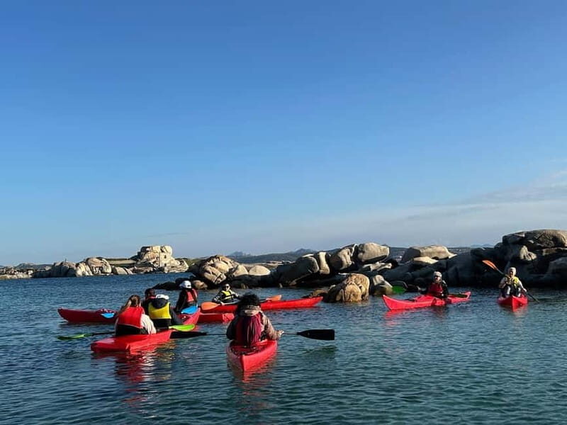 La Maddalena: Kayak Tour with Guide - The Sum Up