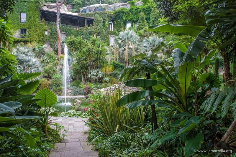 La Mortella Gardens excursion from Ischia - A Practical Look at the La Mortella Gardens Excursion from Ischia