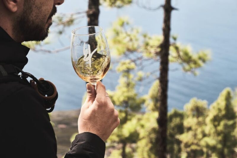 La Palma: Bodegas Teneguia Winery Tour with Wine Tasting - Key Points