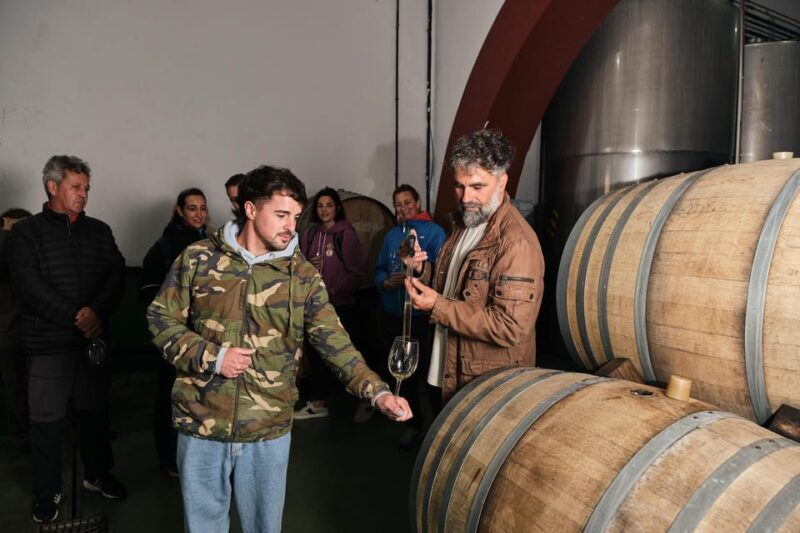 La Palma: Bodegas Teneguia Winery Tour with Wine Tasting - Who Should Consider This Tour?