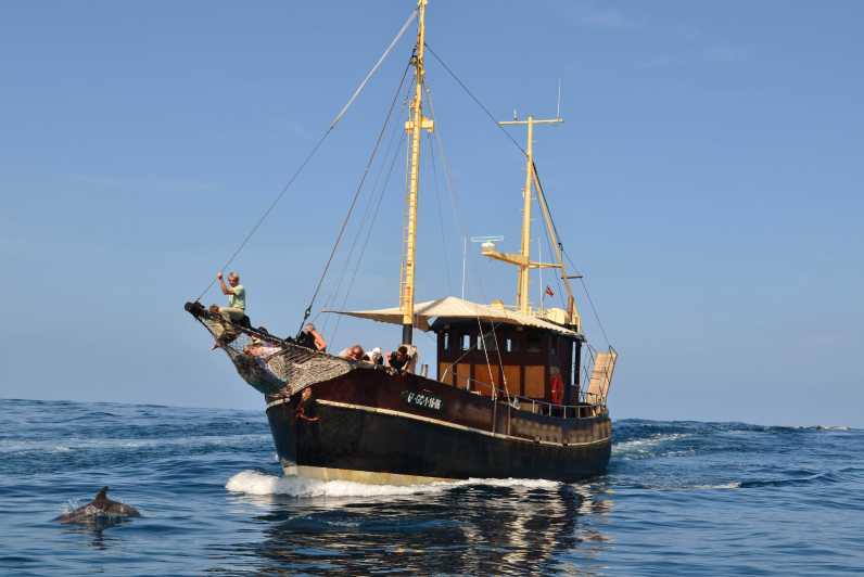 La Palma: Bussard Premium Tour Marine Biology & Nature - Key Points