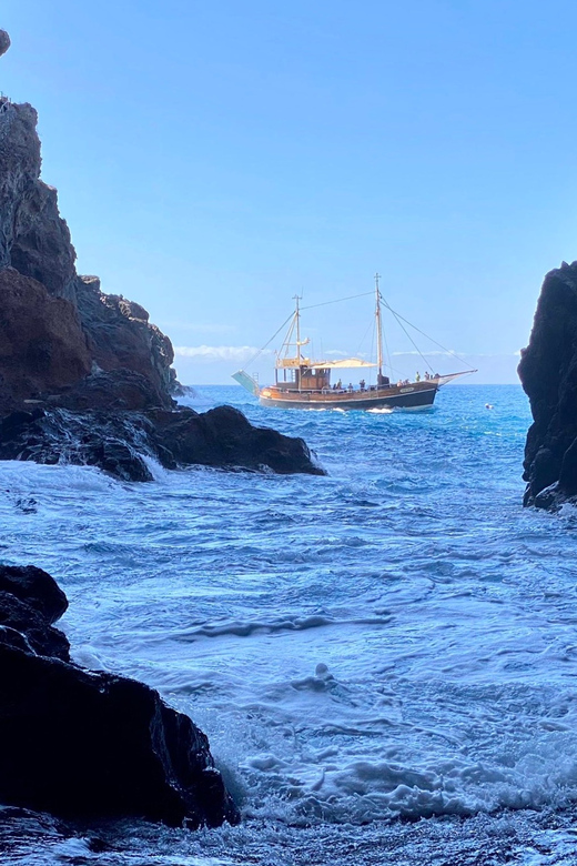 La Palma: Bussard Premium Tour Marine Biology & Nature - Underwater Exploration