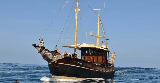 La Palma: Bussard Premium Tour Marine Biology & Nature - Practical Information
