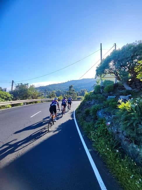 La Palma: Discover the south of the island on a road bike - An Authentic Ride Through La Palma’s South