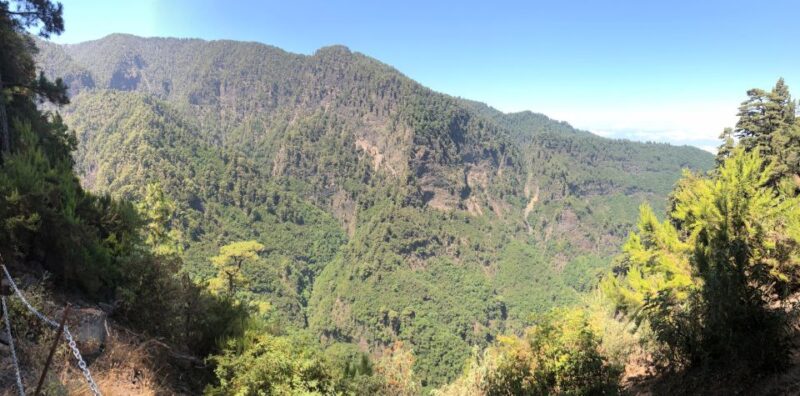 La Palma: Return Bus Transfer to Marcos Y Cordero Springs - Good To Know