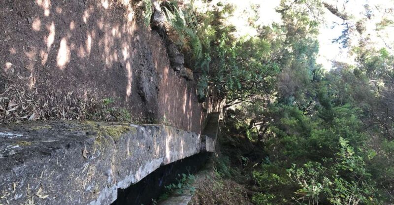 La Palma: Return Bus Transfer to Marcos Y Cordero Springs - Booking Details
