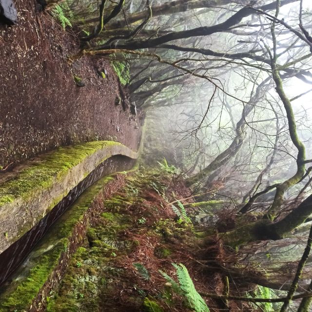 La Palma: Return Bus Transfer to Marcos Y Cordero Springs - Hiking Highlights