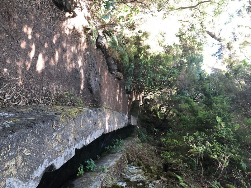 La Palma: Return Bus Transfer to Marcos Y Cordero Springs - Frequently Asked Questions