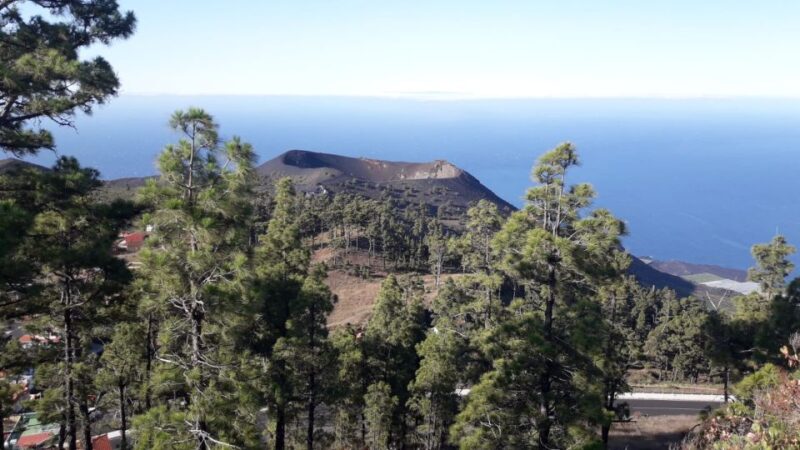 La Palma: San Antonio and Teneguia Volcanoes Tour by 4x4 Bus - Key Points