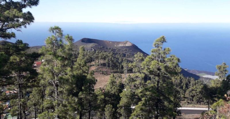 La Palma: San Antonio and Teneguia Volcanoes Tour by 4x4 Bus - Explore Volcanic Landscapes