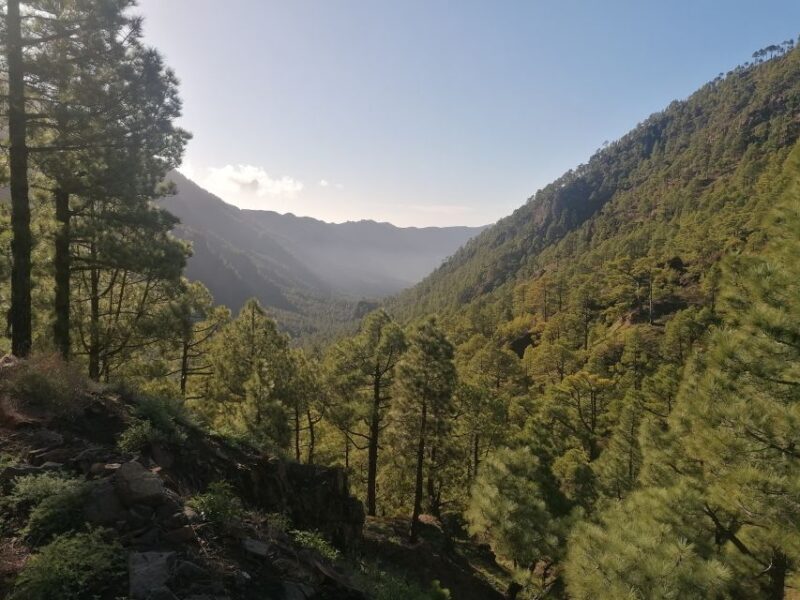 La Palma: San Antonio and Teneguia Volcanoes Tour by 4x4 Bus - Visit Fuencaliente and Salt Mines