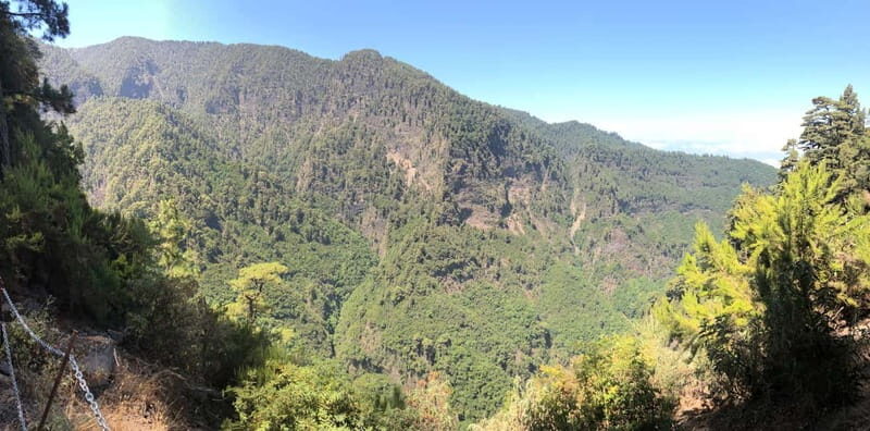 La Palma: Springs Marcos y Cordero Guided Trekking Tour - An Authentic Adventure with Stunning Rewards