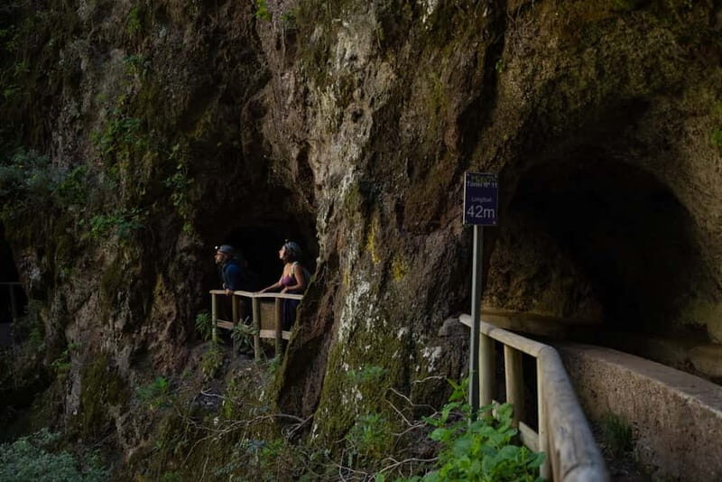 La Palma: Springs Marcos y Cordero Guided Trekking Tour - The Itinerary in Detail: What Makes It Special