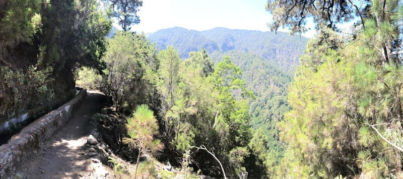 La Palma: Springs Marcos y Cordero Guided Trekking Tour - What’s Included and What to Bring