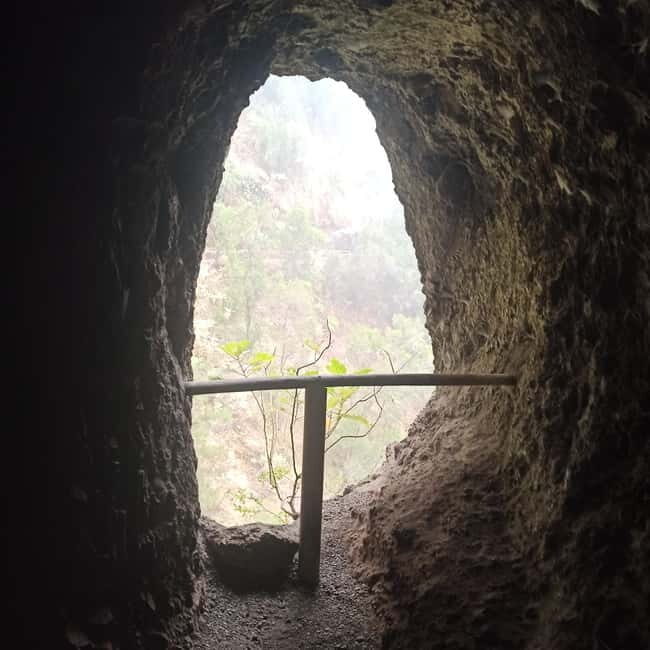 La Palma: Springs Marcos y Cordero Guided Trekking Tour - Reviews and Real Traveler Insights