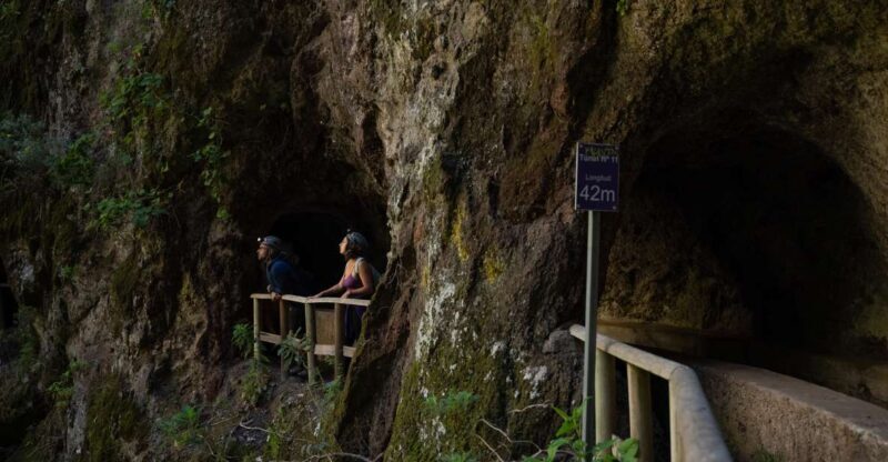 La Palma: Springs Marcos y Cordero Guided Trekking Tour - Who Should Book This Tour?
