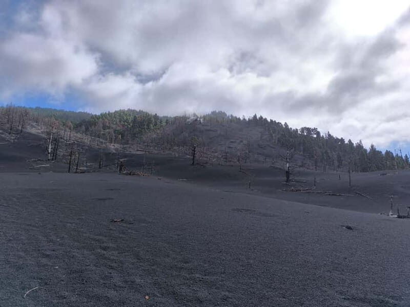 La Palma: Tajogaite Volcano Guided Hike - Key Points