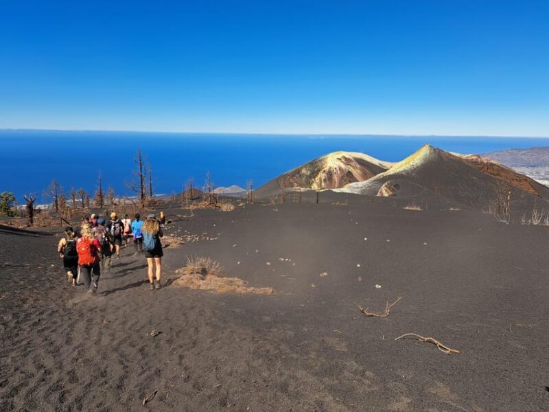 La Palma: Tajogaite Volcano Guided Trek - An In-Depth Look at the Tour Experience