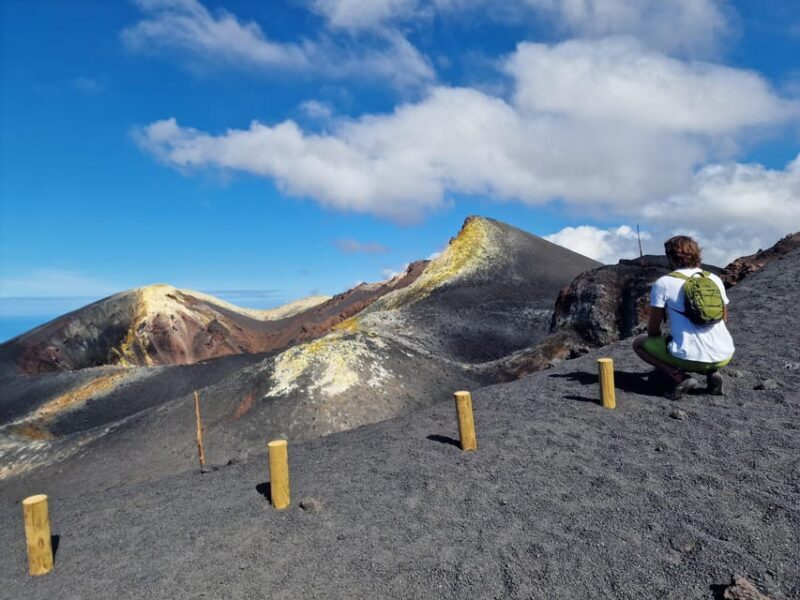 La Palma: Tajogaite Volcano Guided Trek - Analyzing the Value