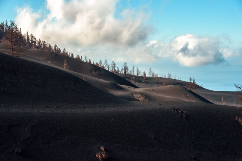 La Palma: Tajogaite Volcano Guided Trek - Who Will Appreciate This Tour?