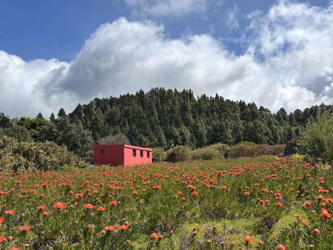 La Palma : Tour of an Ecological Farm W/ Animals & Tasting - Exploring Ecofinca Tacande