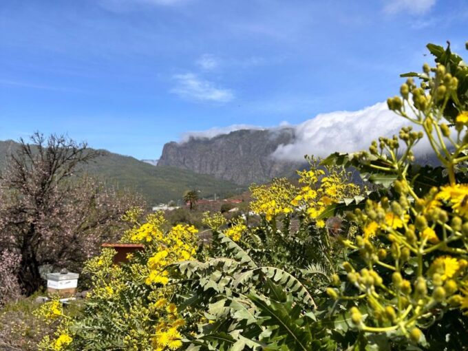 La Palma : Tour of an Ecological Farm W/ Animals & Tasting - Immersive Agrotourism Experience