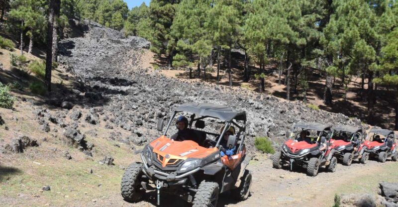La Palma: Volcano Route Buggy Tour - Key Points