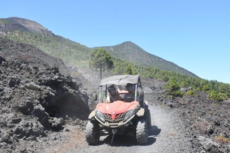 La Palma: Volcano Route Buggy Tour - Experience Highlights