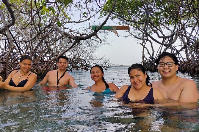 La Parguera Boat Charter with Captain: Kayak & Snorkel - Summary of the Experience