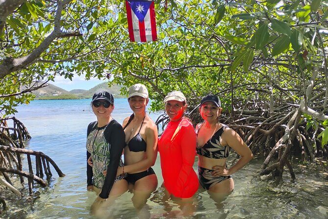 La Parguera Boat Charter with Captain: Kayak & Snorkel - Who Is This Tour Best Suited For?