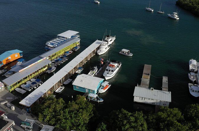 La Parguera Glowing Bioluminescent Bay Boat Tour from San Juan - Frequently Asked Questions