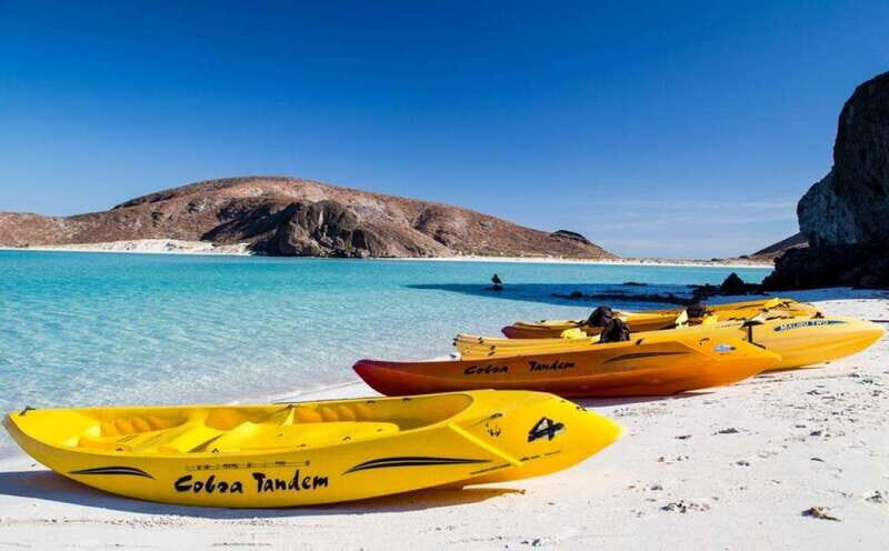 La Paz: 3-Beach Snorkeling Tour with Lunch and Drinks - Key Points