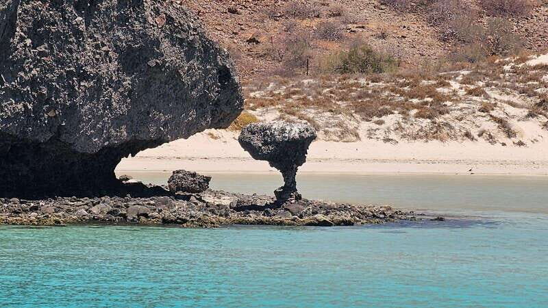 La Paz: Balandra Beach Luxury Yacht Charter Cruise - What’s Included and What’s Not