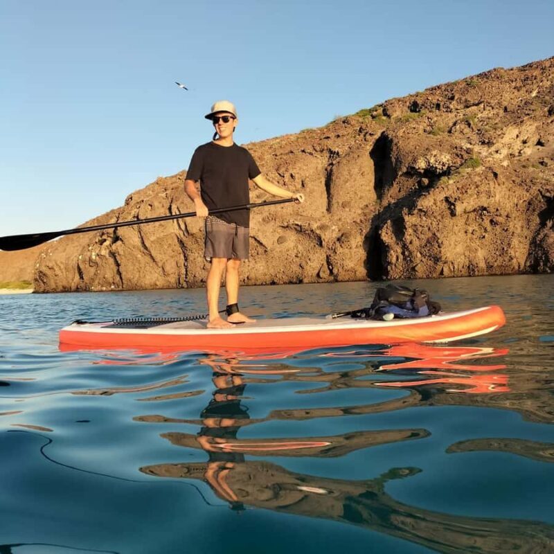 La Paz Bay Guided Paddleboarding and Snorkeling Tour - The Experience: What to Expect and Why It Matters