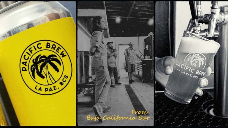 La Paz Cruisers: Craft Beer Tour with Tastings and Ceviche - What Makes This Tour Stand Out?