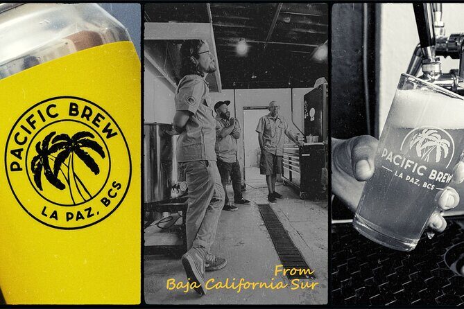 La Paz Cruisers: Craft Beer Tour with Tastings and Ceviche - Final Thoughts