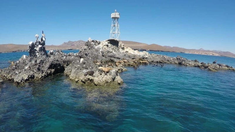 La Paz: Day Cruise & Snorkelling (w/sea lions) Food & Drinks - Practical Tips for Booking & Enjoying
