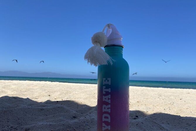 La Paz El Triunfo and La Ventana Day Trip with Lunch - The Practicalities and What You Should Know