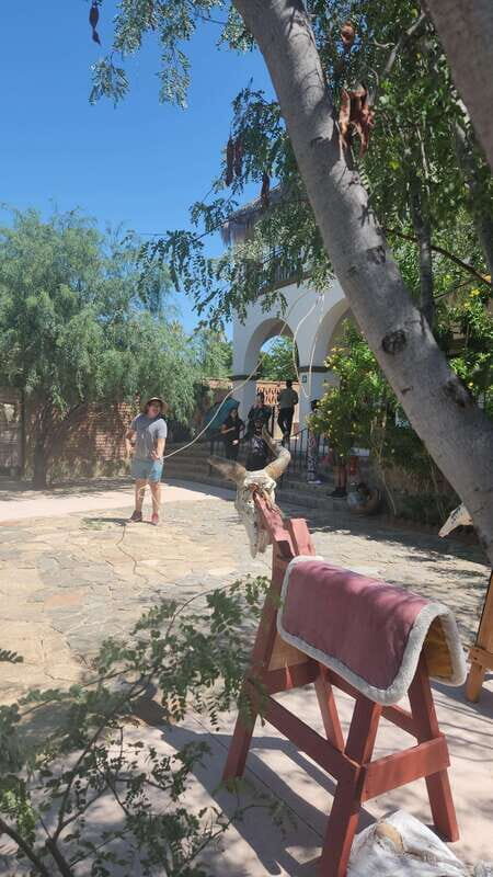 La Paz: El Triunfo Town Tour with Lunch and Transportation - Who Will Enjoy This Tour?