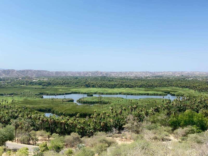 LA PAZ ENCOUNTER - Introduction: Why Consider the La Paz Encounter Tour?