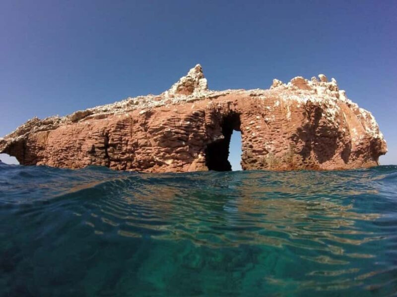 La Paz: Espíritu Santo Island Snorkeling Tour with Lunch - Key Points