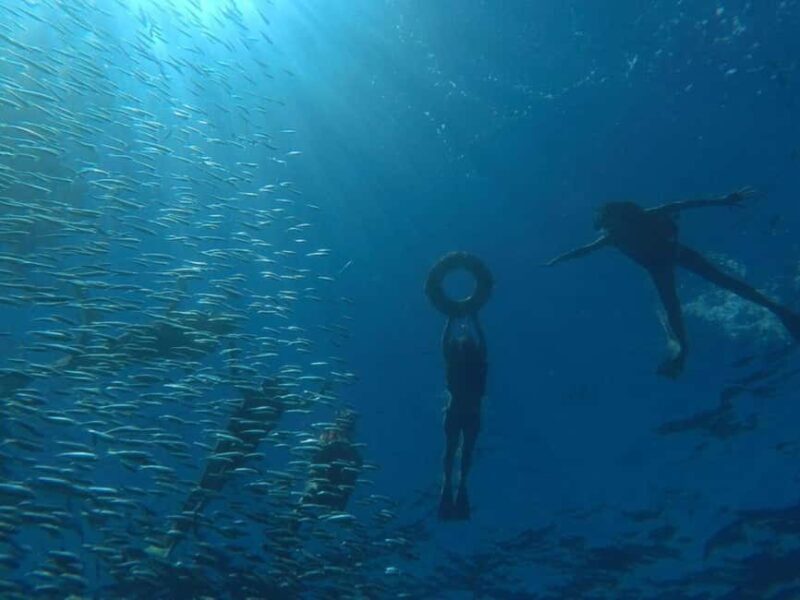 La Paz: Espíritu Santo Island Snorkeling Tour with Lunch - An Overview of the Espíritu Santo Island Snorkeling Experience