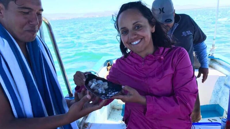 La Paz: Mangrove Adventure, Snorkeling and Shellfish Tasting - Exploring La Paz’s Mangroves: What You Can Expect