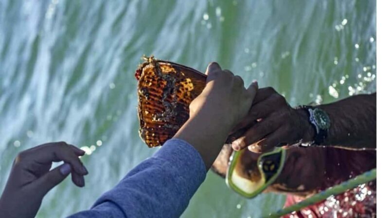 La Paz: Mangrove Adventure, Snorkeling and Shellfish Tasting - FAQ