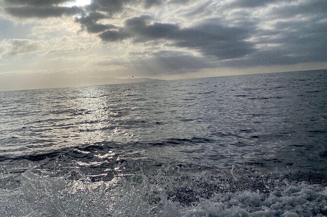 La Paz Mexico Sunset Cruise with Local Guides : small group - Final Thoughts