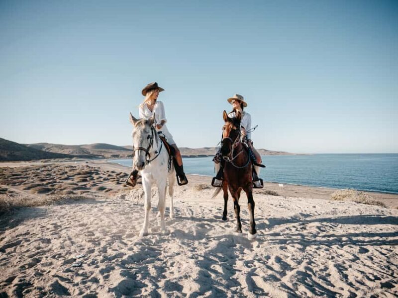La Paz: Scenic Beach Horseback Ride with Snacks - What to Expect from This Horseback Ride